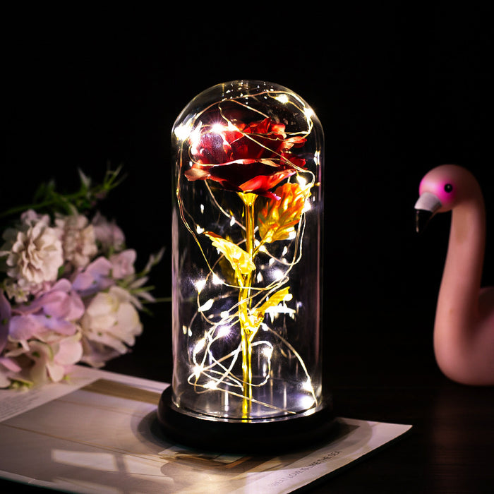 Hollevo Roos onder glazen stolp met ledlampjes, romantisch cadeau