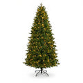 Groene kerstboom met tweekleurige verlichting