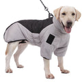 Hond in grijze gewatteerde winterjas
