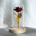 Roos onder glazen stolp met ledlicht, romantisch cadeau