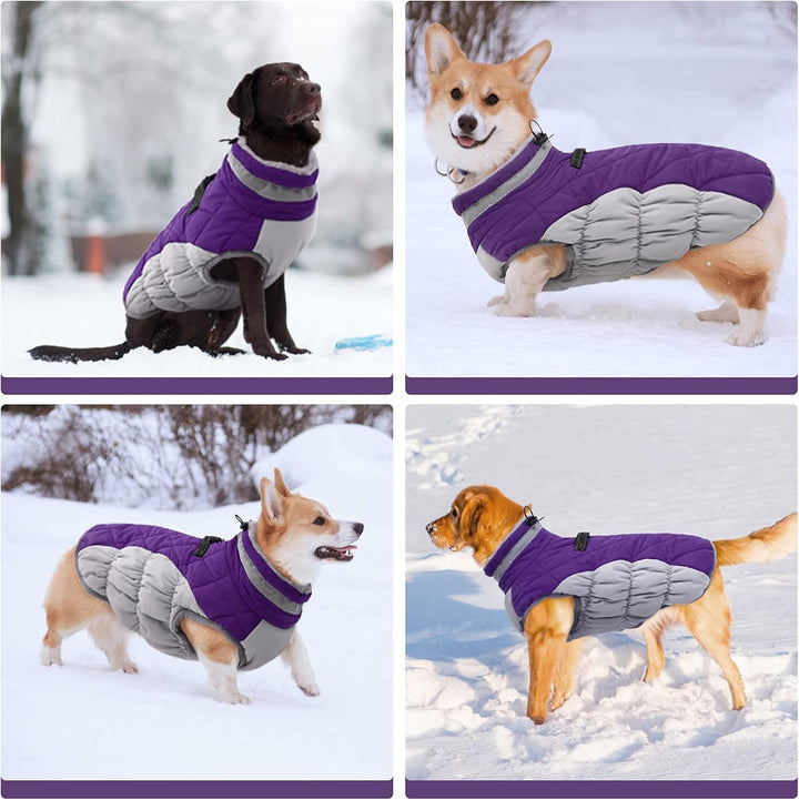 Safewalk winter harnas jas – waterdicht hond jas met reflectie en fleecevoering