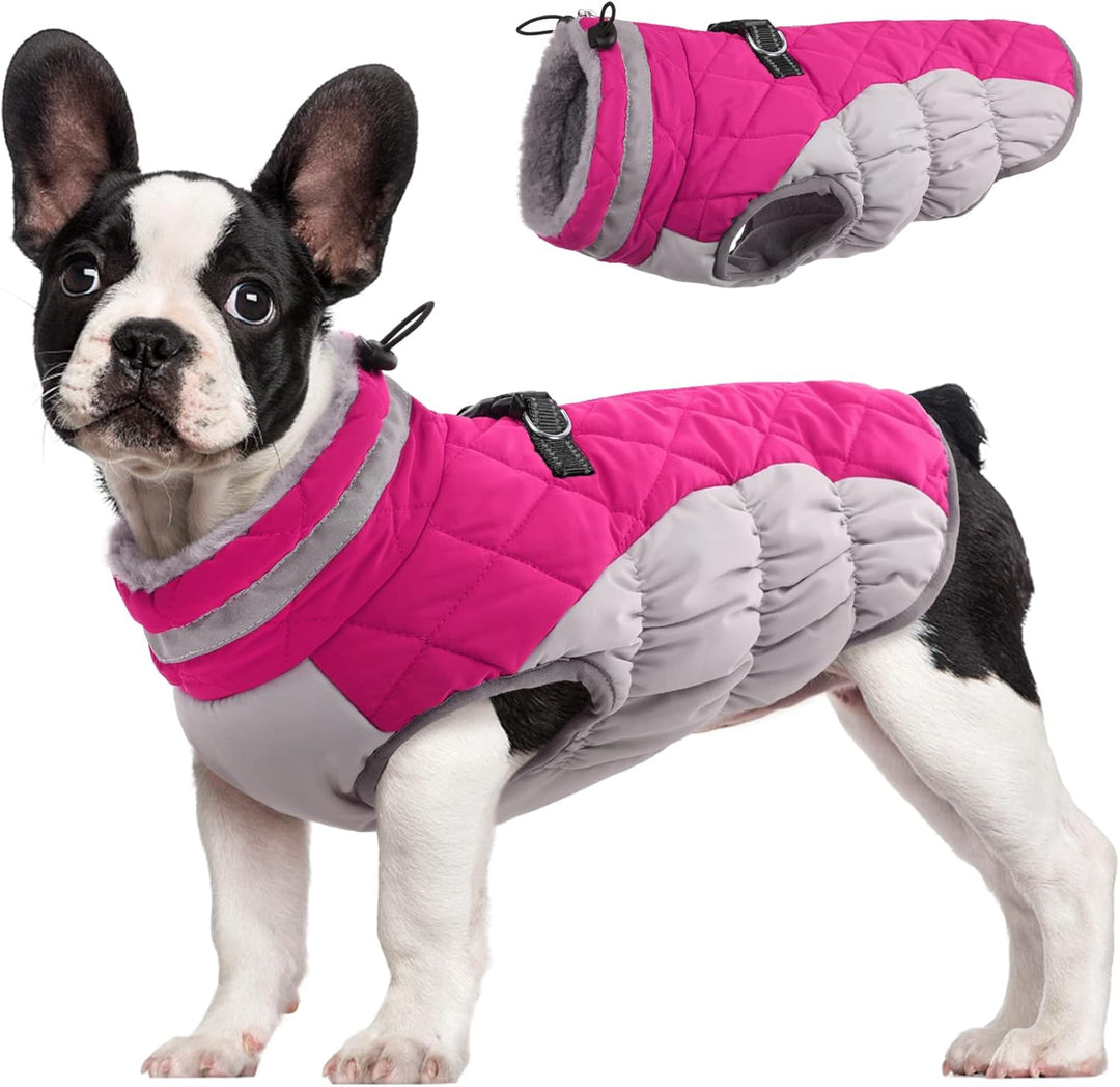 Safewalk winter harnas jas – waterdicht hond jas met reflectie en fleecevoering