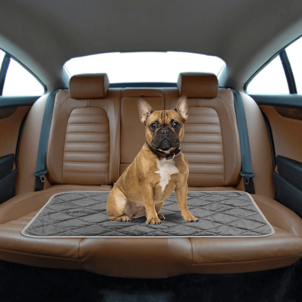Zelfverwarmende mand-mat voor hond en kat met antislipbodem