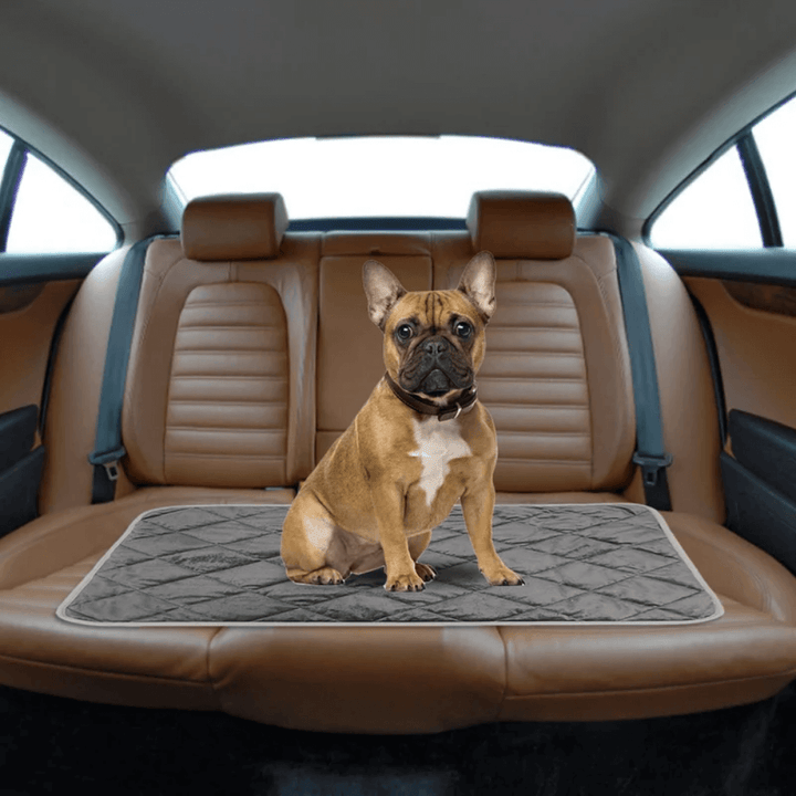 Zelfverwarmende mand-mat voor hond en kat met antislipbodem