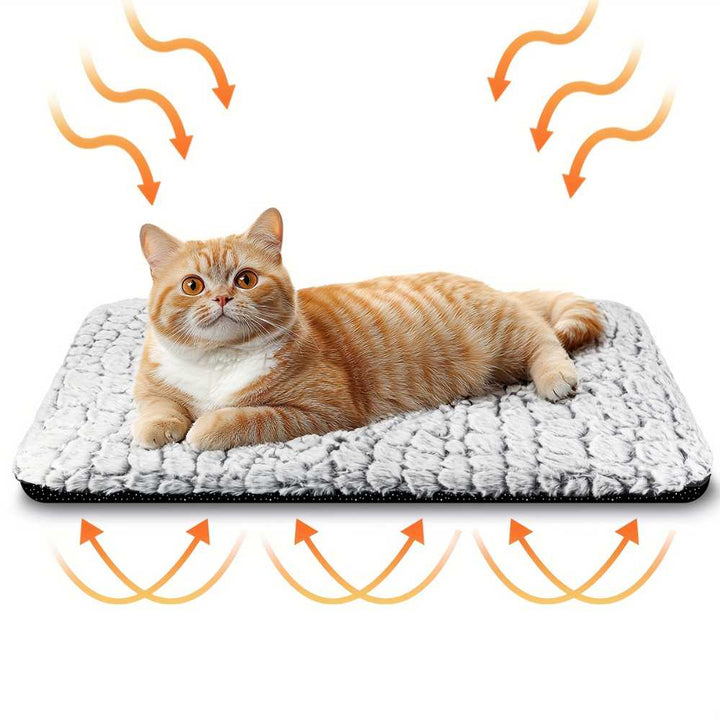 Knus thermisch kat warmtekussen