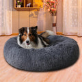 Hond ligt opgerold in een grijze donutmand