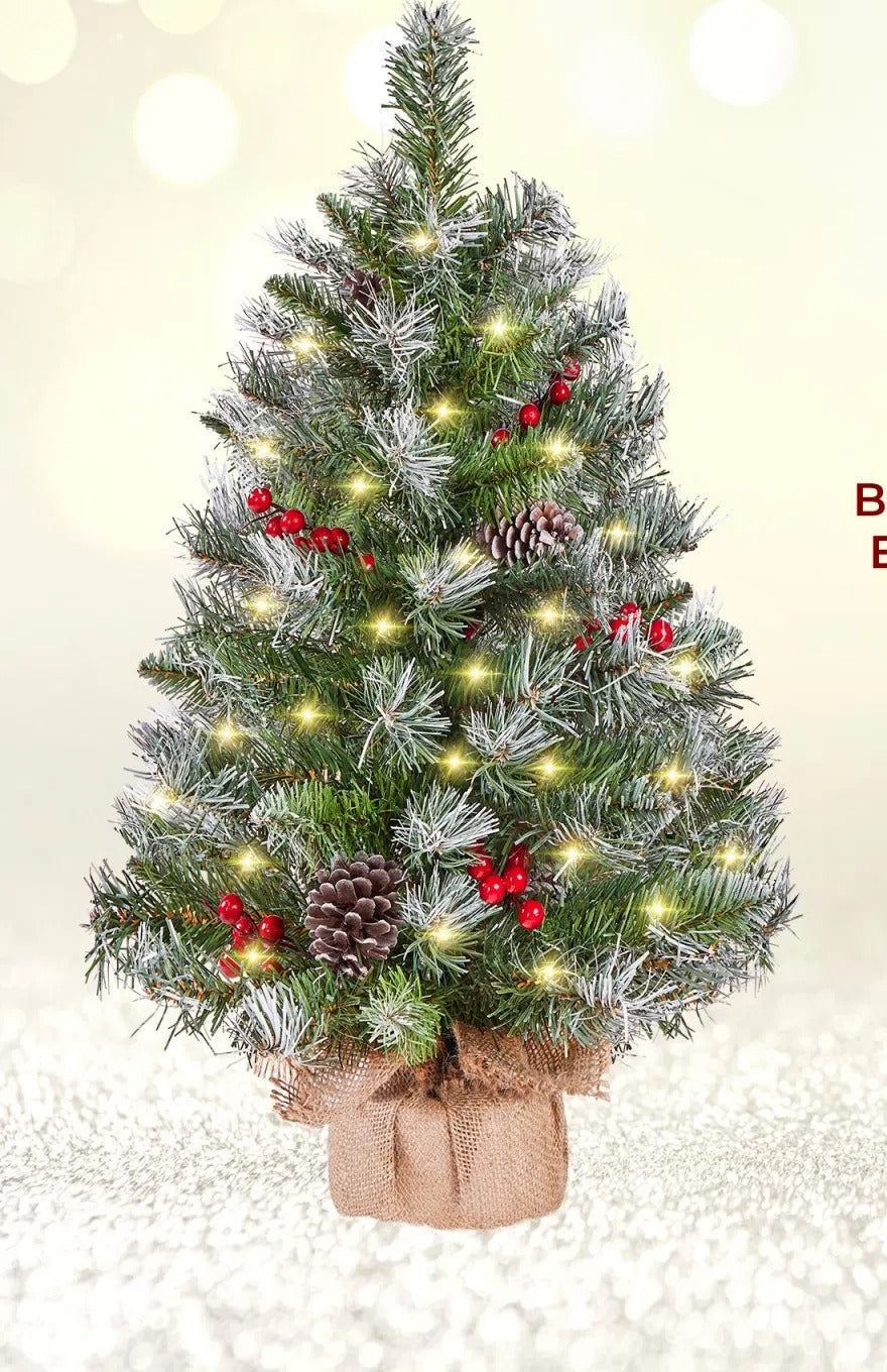 Twee berijpte tafelkerstbomen met lichtjes
