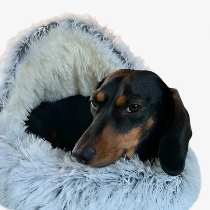 Zacht winter huisdier bed met wasbaar bedekken en niet – uitglijden basis