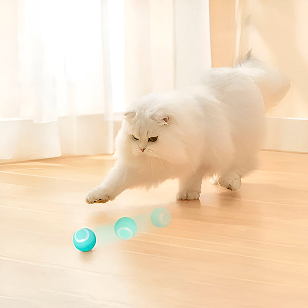 Automatisch rollende bal voor honden en katten, USB-oplaadbaar