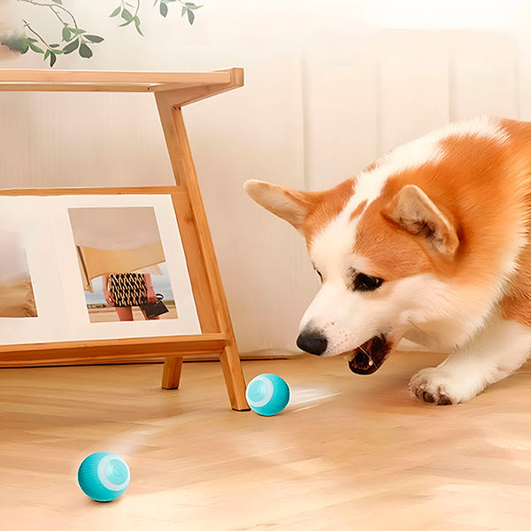 Automatisch rollende bal voor honden en katten, USB-oplaadbaar