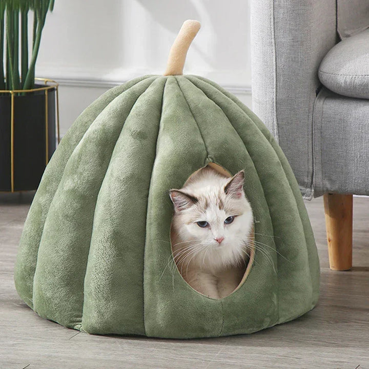 Knusse kattenmand in pompoenvorm met afgesloten holletje