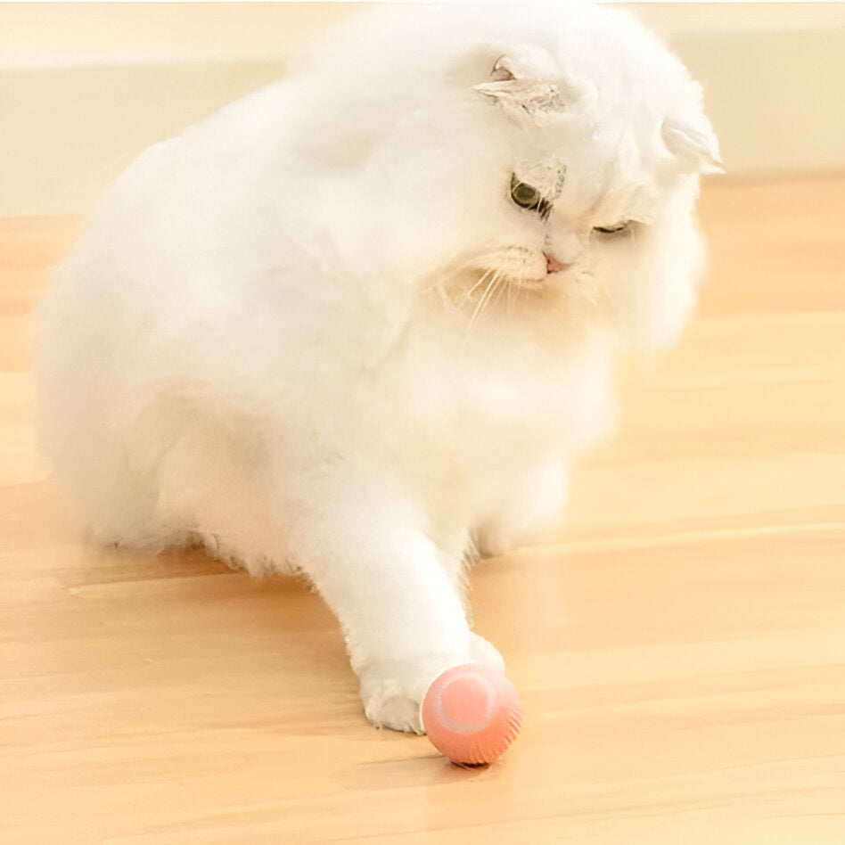 Hollevo™ Interactief kattenspeeltje – rollende bal met slimme sensor