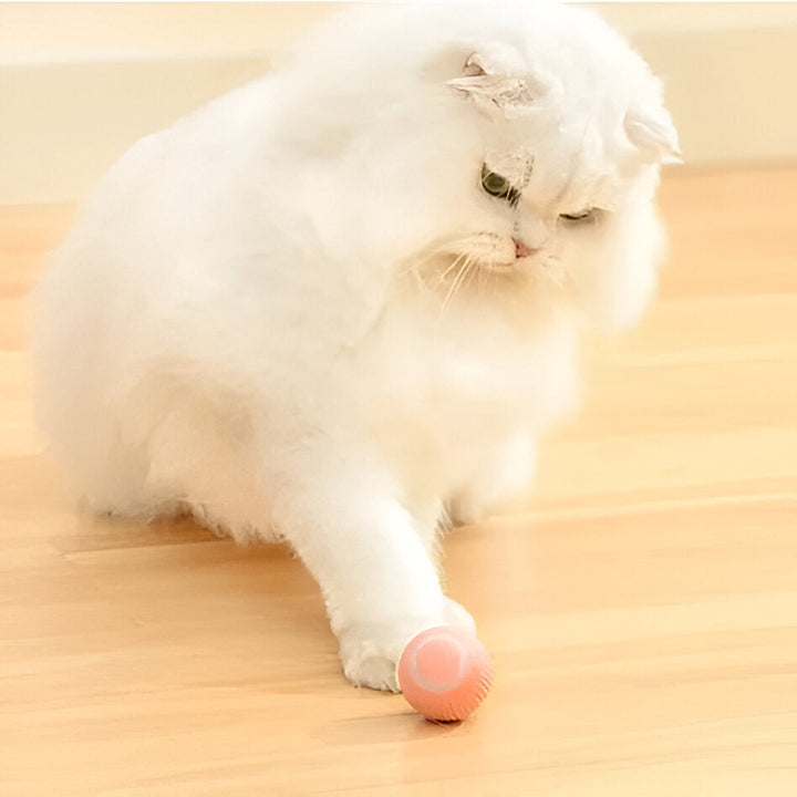 Hollevo™ Interactief kattenspeeltje – rollende bal met slimme sensor