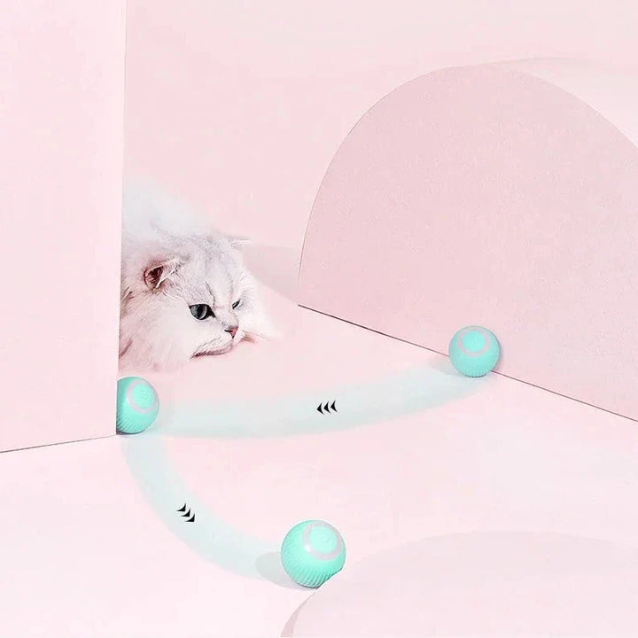Hollevo™ Interactief kattenspeeltje – rollende bal met slimme sensor
