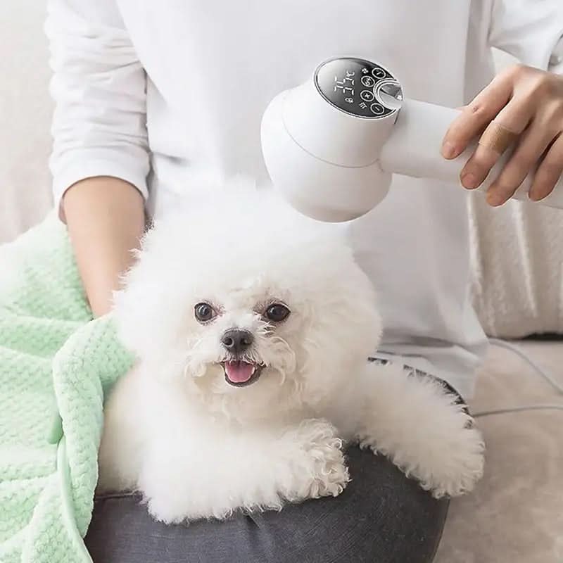 Stille föhn met ionentechnologie voor honden en katten