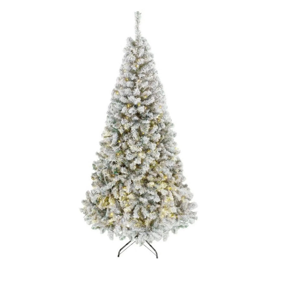 Besneeuwde Fraser fir met lichtjes