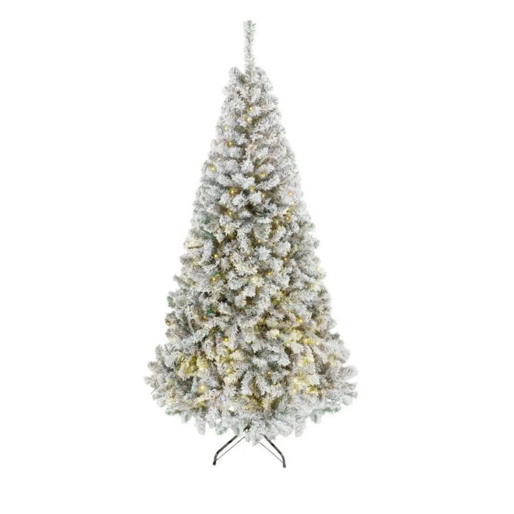 Besneeuwde Fraser fir met lichtjes