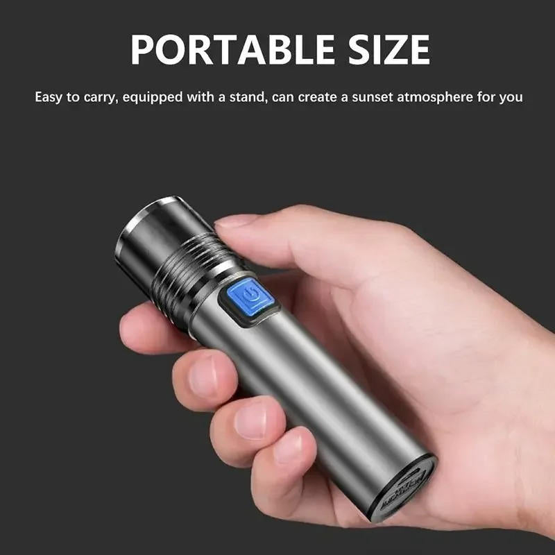 UV-zaklamp 395 nm met zoom om plasvlekken van huisdieren te vinden