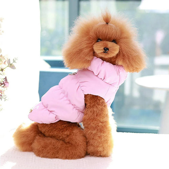 Knusse winterjas voor kleine en middelgrote honden met drukknopen