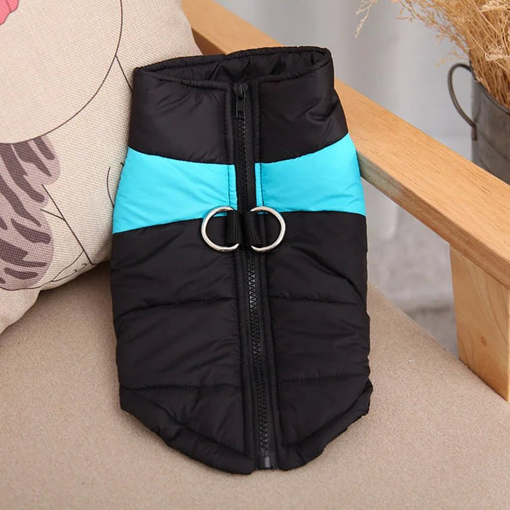 Frostpaw – winter jas voor honden met bescherming en comfort