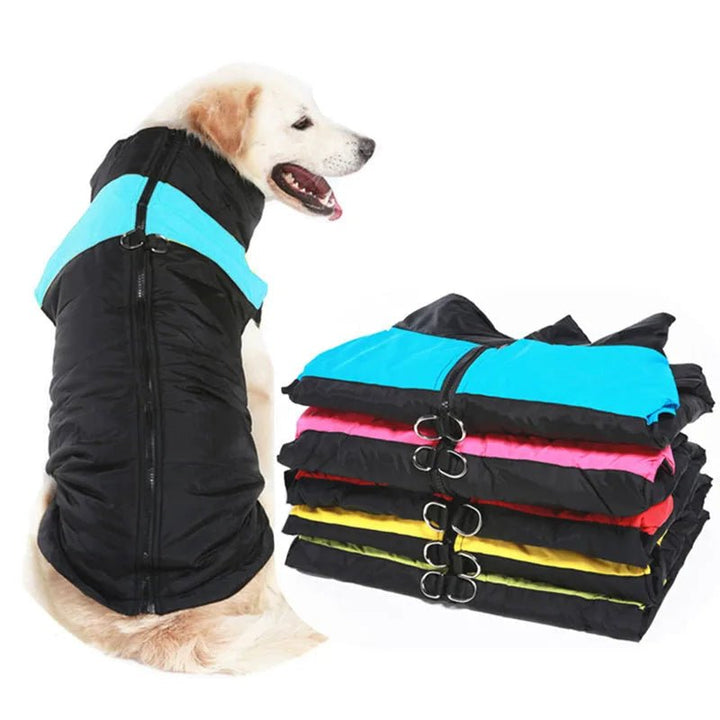 Frostpaw – winter jas voor honden met bescherming en comfort