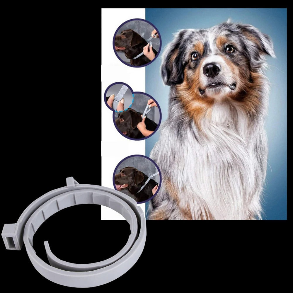 Vlooien- en tekenband voor hond en kat, verstelbaar