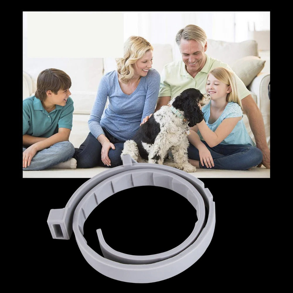 Vlooien- en tekenband voor hond en kat, verstelbaar