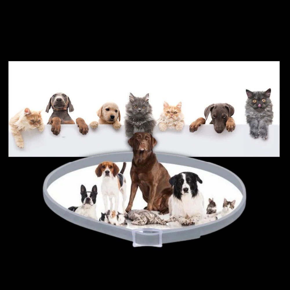 Vlooien- en tekenband voor hond en kat, verstelbaar