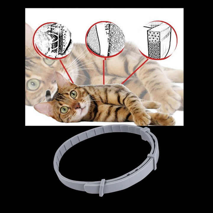Vlooien- en tekenband voor hond en kat, verstelbaar