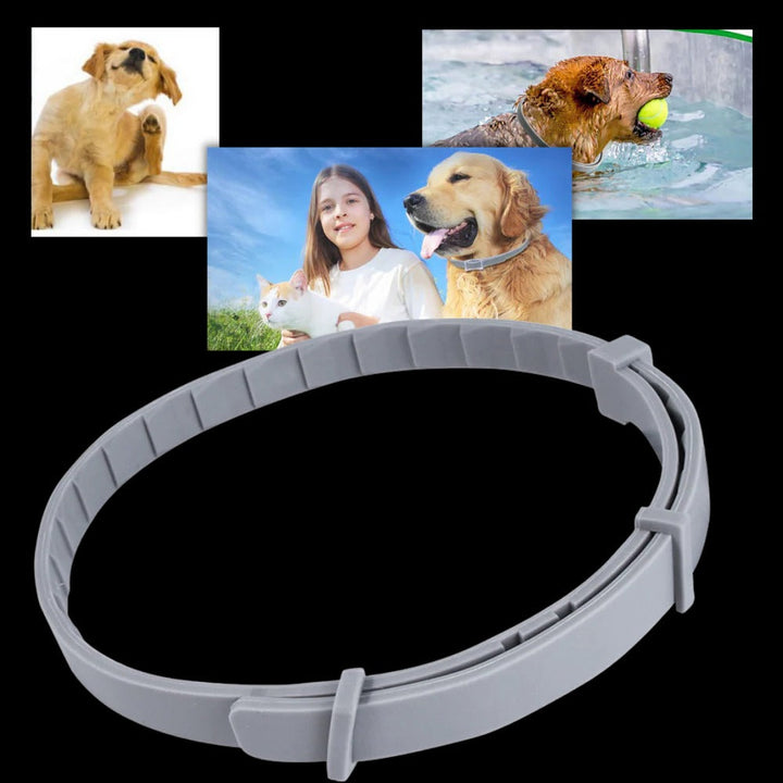Vlooien- en tekenband voor hond en kat, verstelbaar