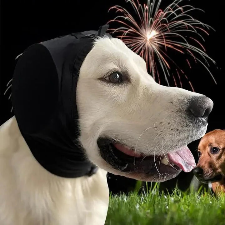 Oorkap voor honden als capuchon, dempt geluid en houdt warm