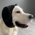 Hollevo™ Oorkap voor honden als capuchon, dempt geluid en houdt warm