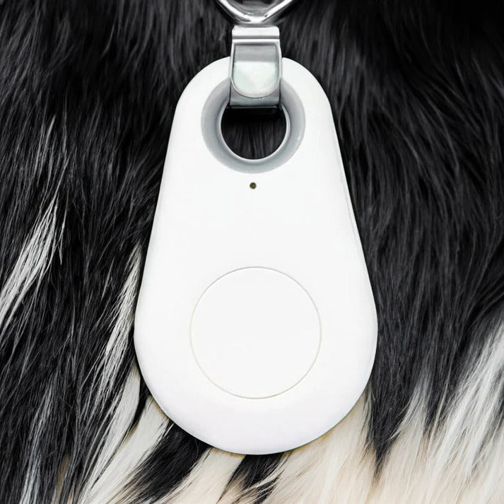Hollevo™ Bluetooth tracker voor huisdieren met piepsignaal en zones