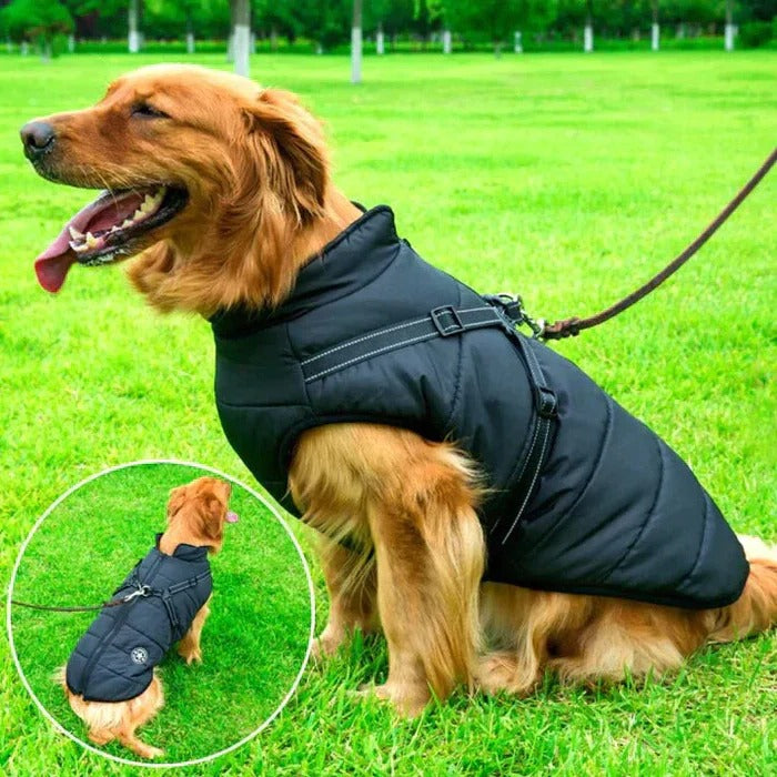 Waterdicht winter hond jas