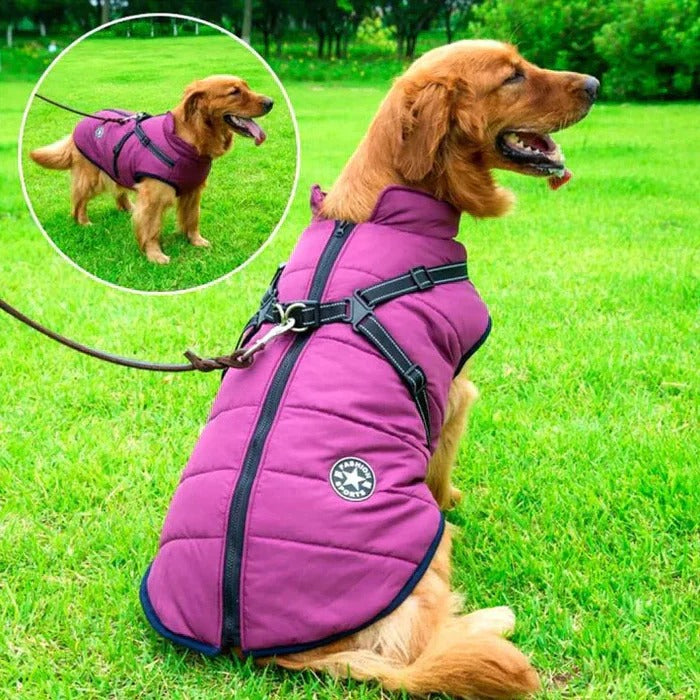 Waterdicht winter hond jas