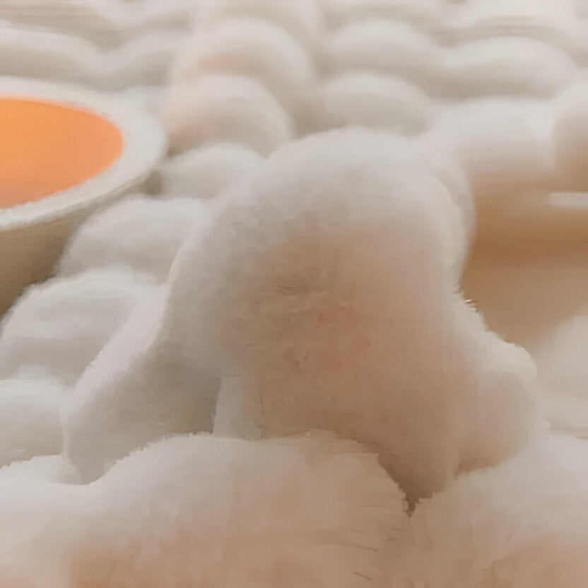 Zachte pluche deken voor alle seizoenen met strak design