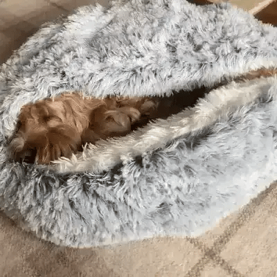 Rustgevende hondenmand met kap – knusse grot voor je hond