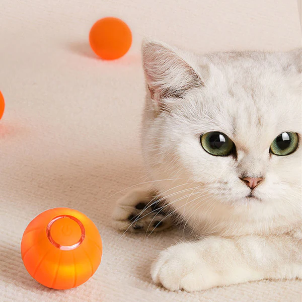 Zelfrollende slimme kattenbal met 3 speelstanden