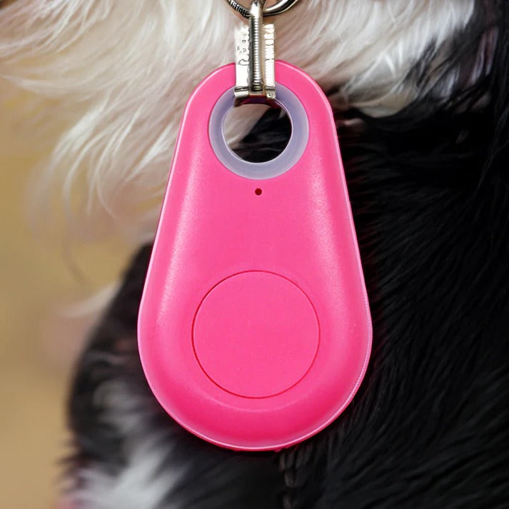 Hollevo™ Bluetooth tracker voor huisdieren met piepsignaal en zones
