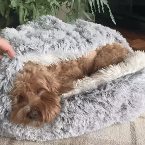 Rustgevende hondenmand met kap – knusse grot voor je hond