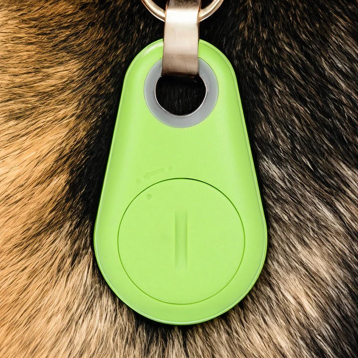 Hollevo™ Bluetooth tracker voor huisdieren met piepsignaal en zones