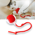 Hollevo™ Zelfrollende kattenbal met speels touwstaartje