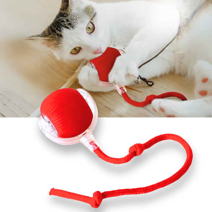 Hollevo™ Zelfrollende kattenbal met speels touwstaartje