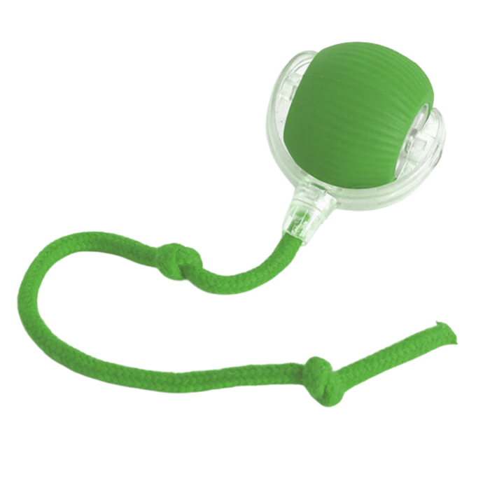 Hollevo™ Zelfrollende kattenbal met speels touwstaartje