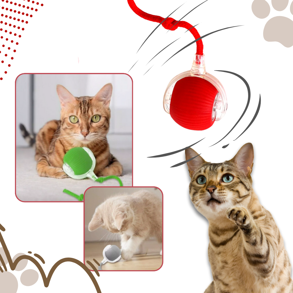 Hollevo™ Zelfrollende kattenbal met speels touwstaartje