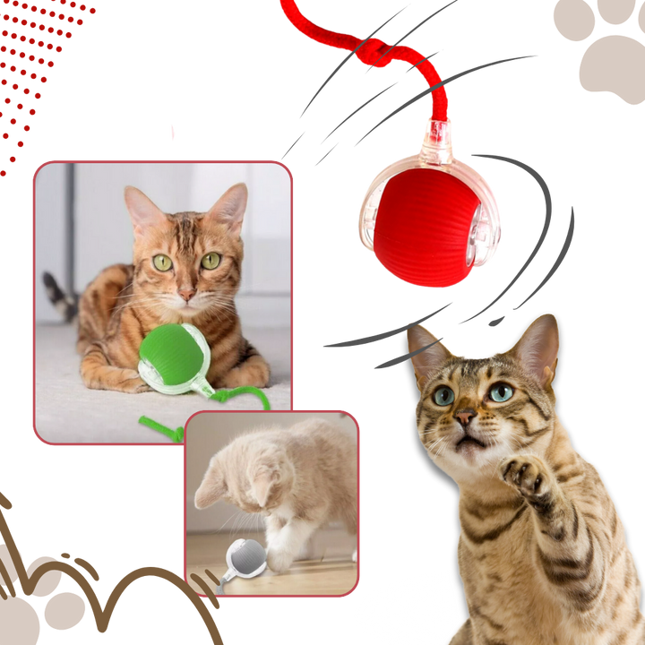 Hollevo™ Zelfrollende kattenbal met speels touwstaartje