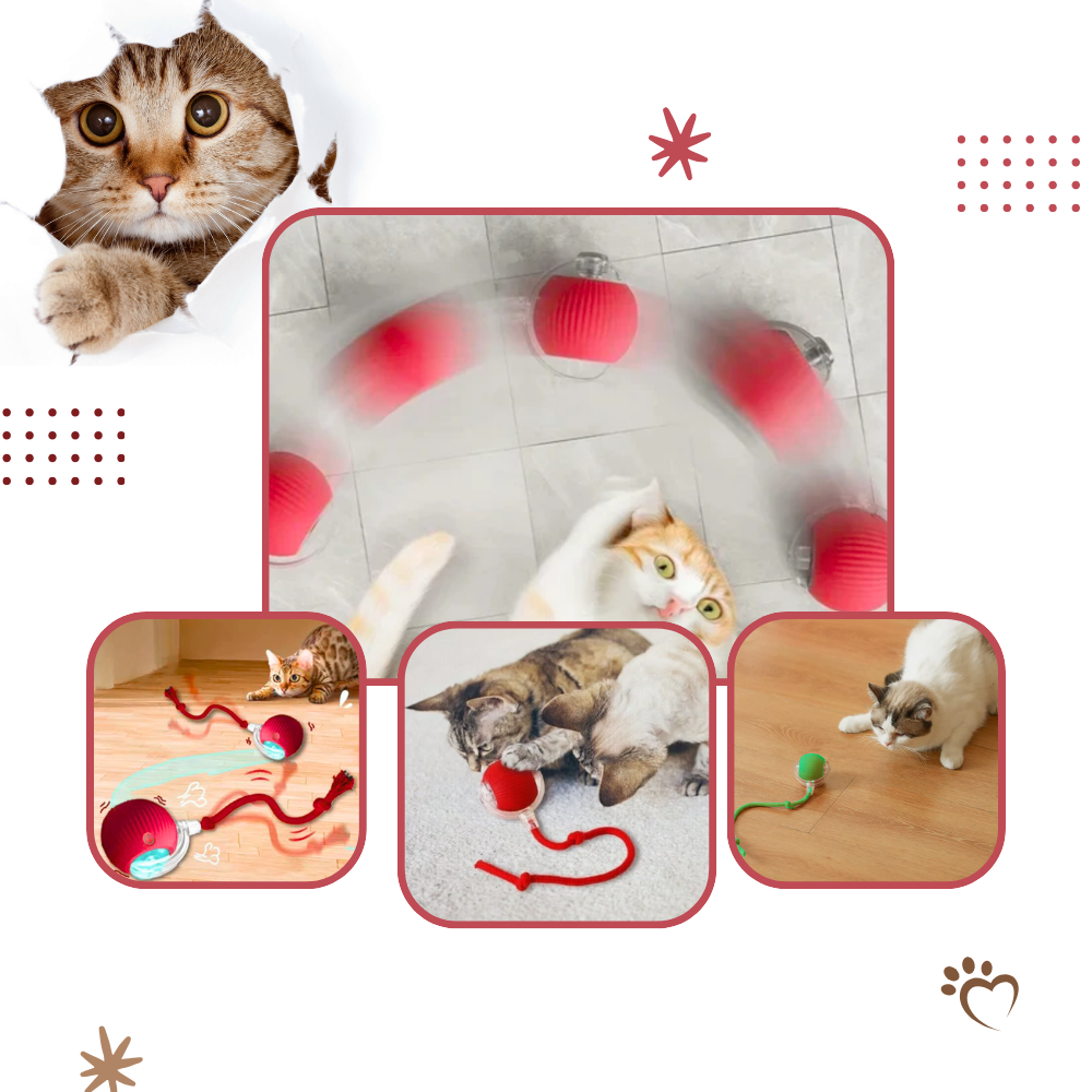 Hollevo™ Zelfrollende kattenbal met speels touwstaartje