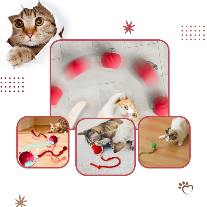 Hollevo™ Zelfrollende kattenbal met speels touwstaartje