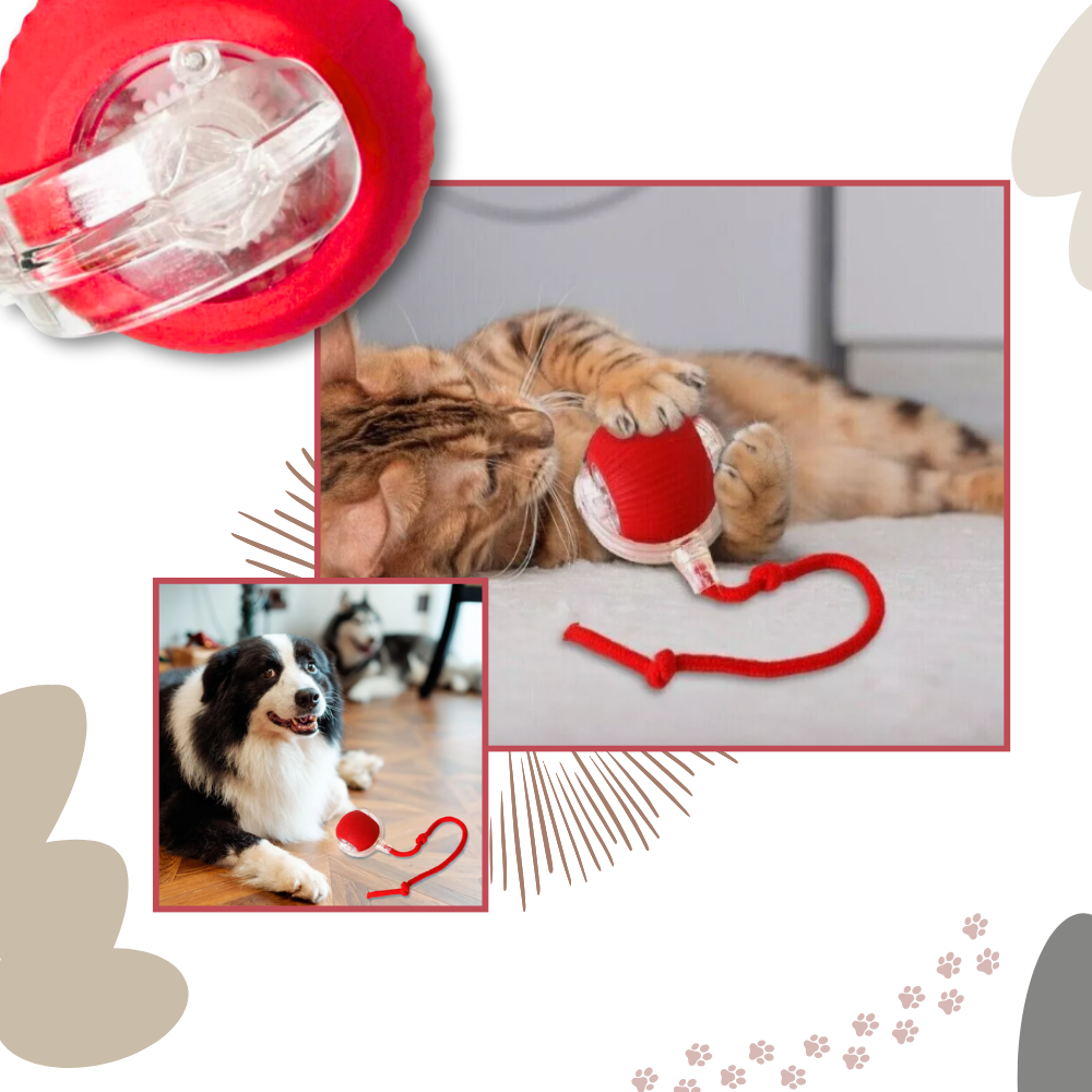 Hollevo™ Zelfrollende kattenbal met speels touwstaartje