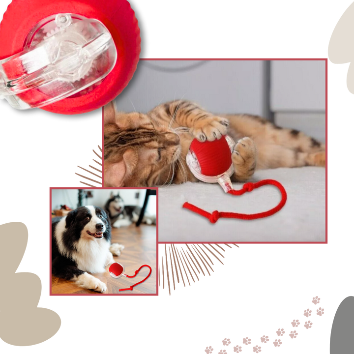 Hollevo™ Zelfrollende kattenbal met speels touwstaartje